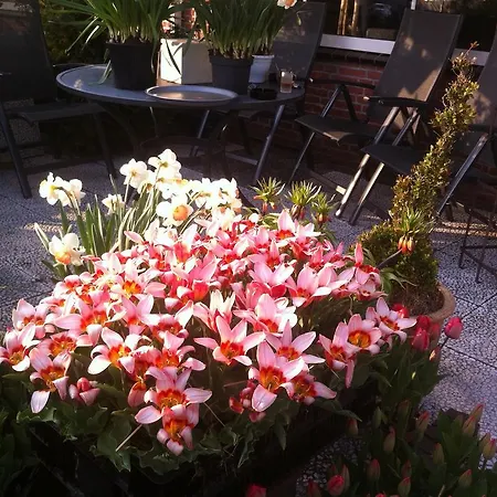 De Driesprong Guest house 4*